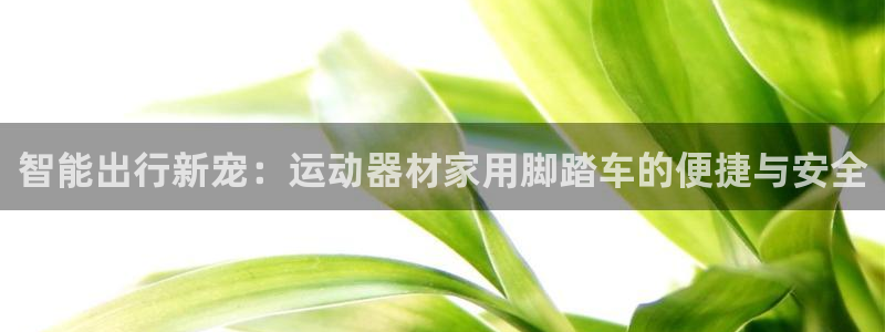 fb体育娱乐:智能出行新宠:运动器材家用脚踏车的便捷与安全