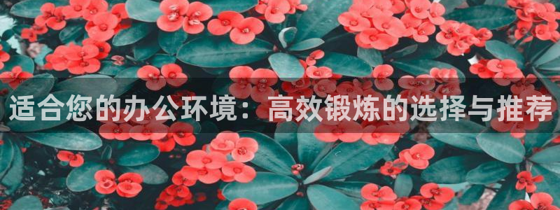 fb体育平台注册流程图:适合您的办公环境:高效锻炼的选择与推